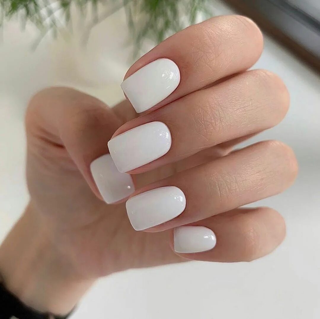 Красивый белый маникюр на коротких ногтях White Nails Дизайнерские ногти, Белые гелевые ногти, Красивые ногти