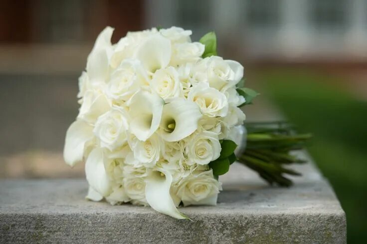 Красивый букет белый фото From Pastels to Vibrant Hues: 15 Most Beautiful Calla Lily Wedding Bouquets Call