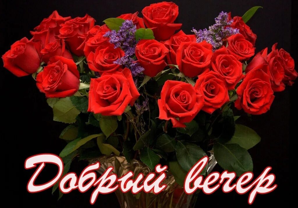 Красивый букет доброго вечера картинки Всем доброго вечера! Вечера прекрасного! 2023 Лидия Вяткина ВКонтакте