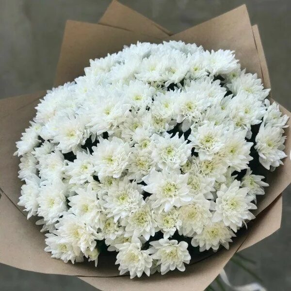 Красивый букет хризантем фото Хризантема FRIDA FLOWERS, цвет белый, 17 шт купить по выгодной цене в интернет-м