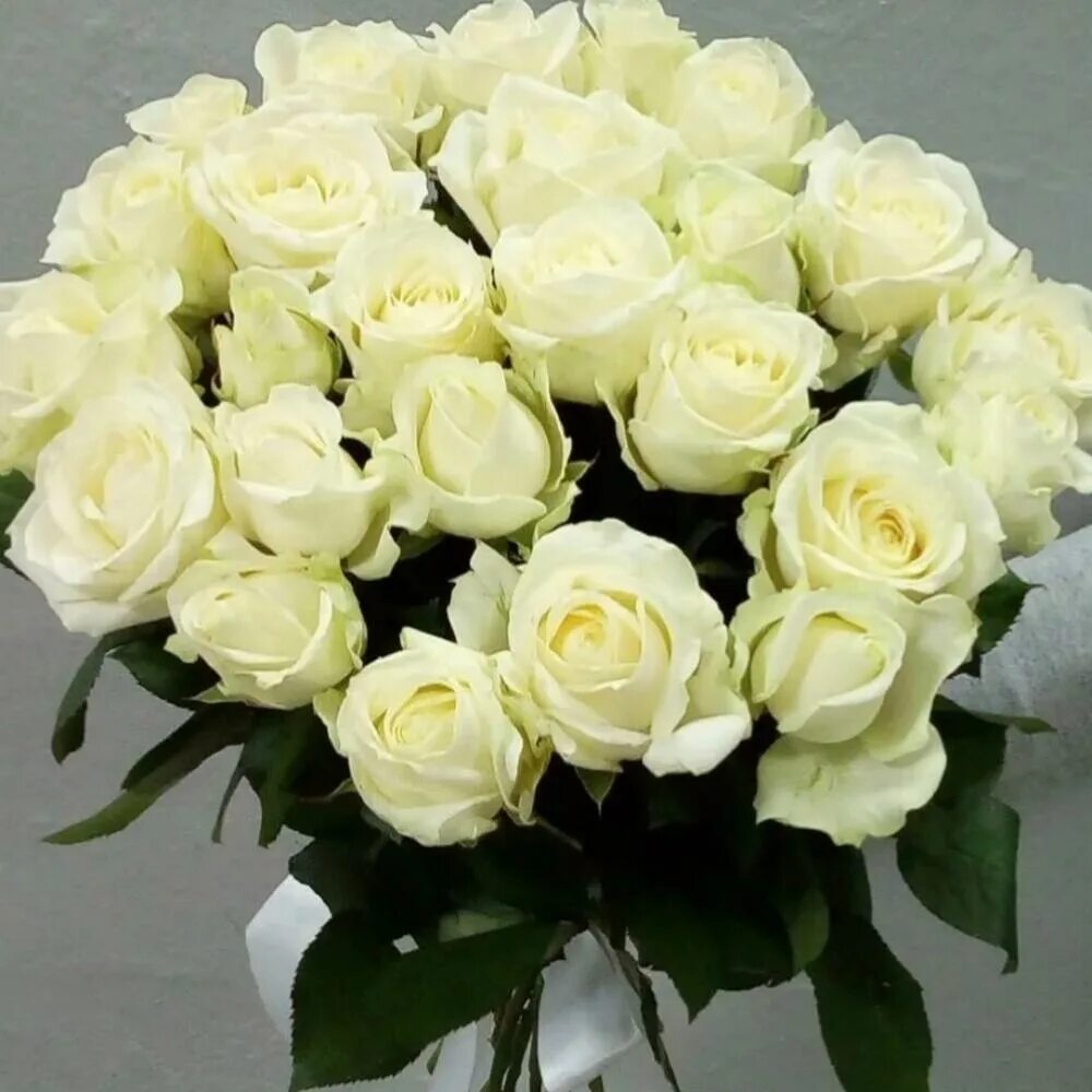 Красивый букет из белых роз фото Букет белых роз, Flowers & Gifts Moskovsky, buy at a price of 6700 RUB, Mono Bou