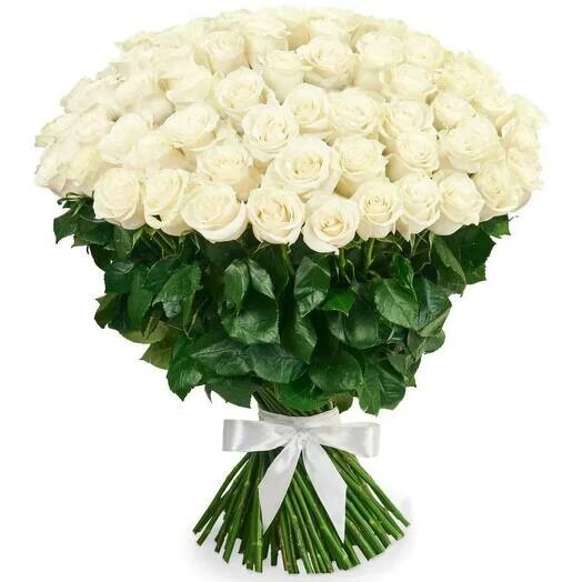 Красивый букет из белых роз фото Премиум, Flowers & Gifts Moscow, buy at a price of 49980 RUB, Mono Bouquets on C