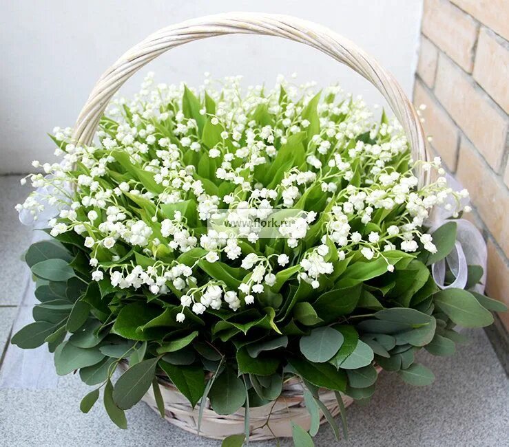 Красивый букет ландышей фото Корзина 100 ландышей "Белые небеса" - купить ландыши в интернет магазине Flork.r