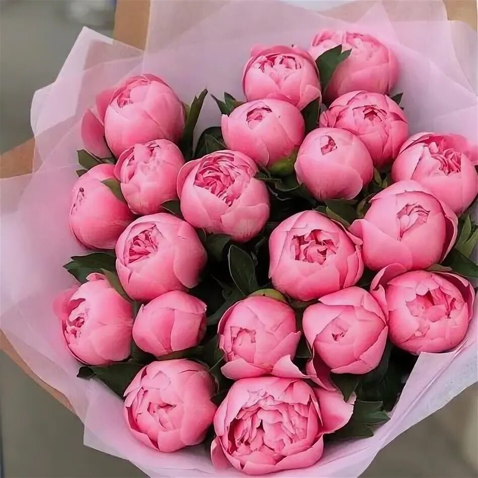 Красивый букет пионов фото Top 10 букет пионов ideas and inspiration