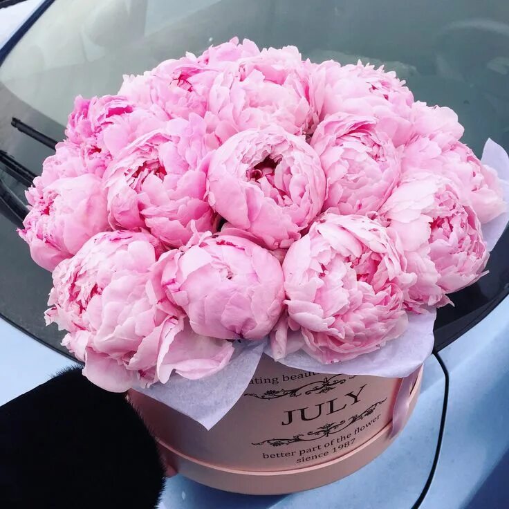 Красивый букет пионов фото высокого Épinglé par катя долга sur July Arrangements de fleurs, Pivoine, Bouquet de mari