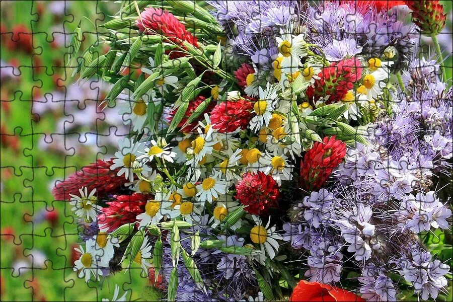 Красивый букет полевых цветов для женщины фото Магнитный пазл 27x18см."Полевые цветы, букет полевых цветов, цветной" на холодил