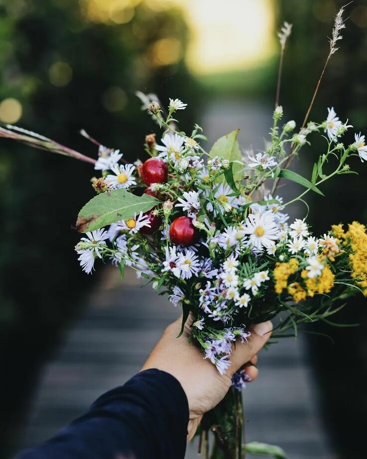 Красивый букет полевых цветов для женщины фото falling for all the fall wildflowers rn those asters #wildflowers #nantucket #fo