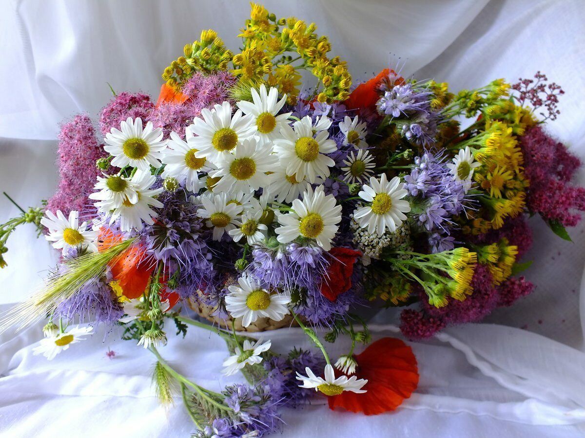 Красивый букет полевых цветов для женщины фото Pin on ЛЕТО ромашковое Flowers, Wild flowers, Bouquet