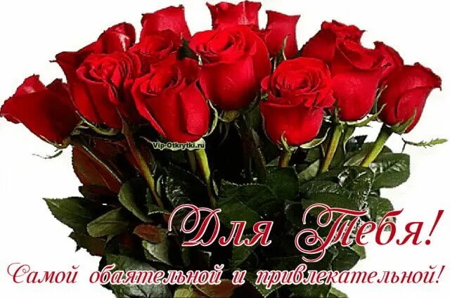 Красивый букет роз для женщины фото Для тебя, букет из красных роз Красные розы, Розы, Милые открытки