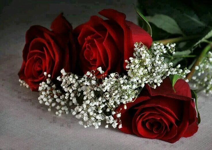 Красивый букет роз для женщины фото Pin by Terry on fiori Red roses, Beautiful flowers, Flowers