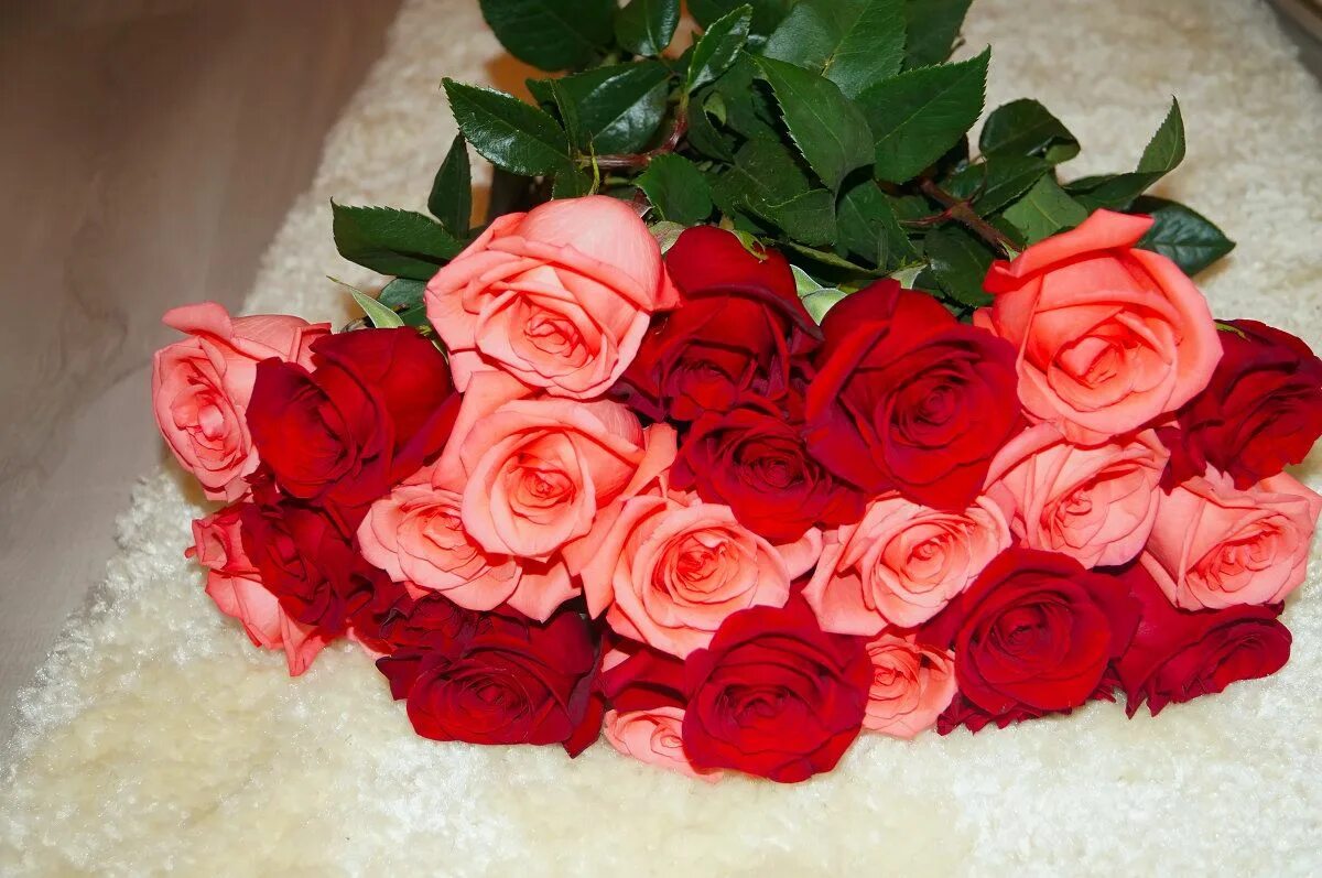 Красивый букет роз для женщины фото Pin on Цветы - цветочки(РОЗЫ) Flowers, Rose, Plants
