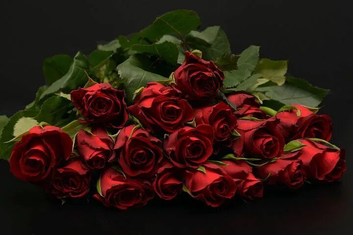 Красивый букет роз фото Розы, Красный, Красные Розы Rosas, Foto, Fotografía