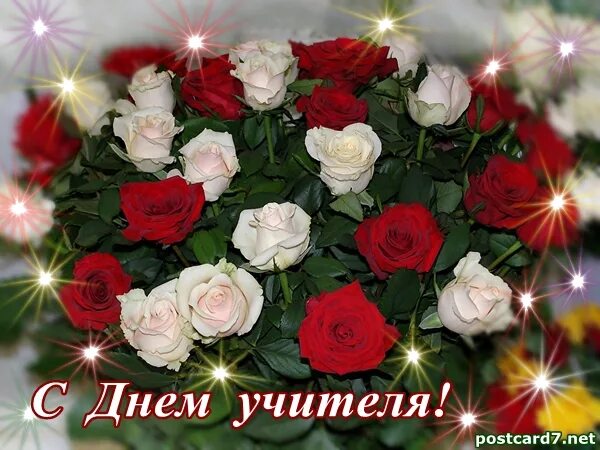 Красивый букет с днем учителя фото Управление образования