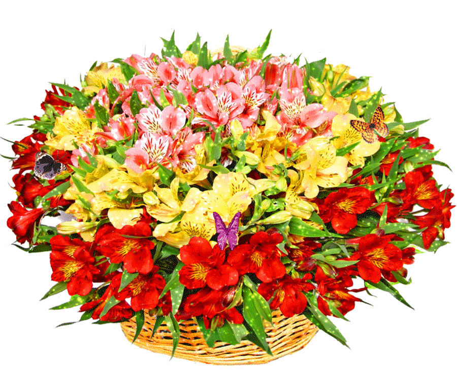 Красивый букет с пожеланием женщине картинки free flower gif images - Google Search