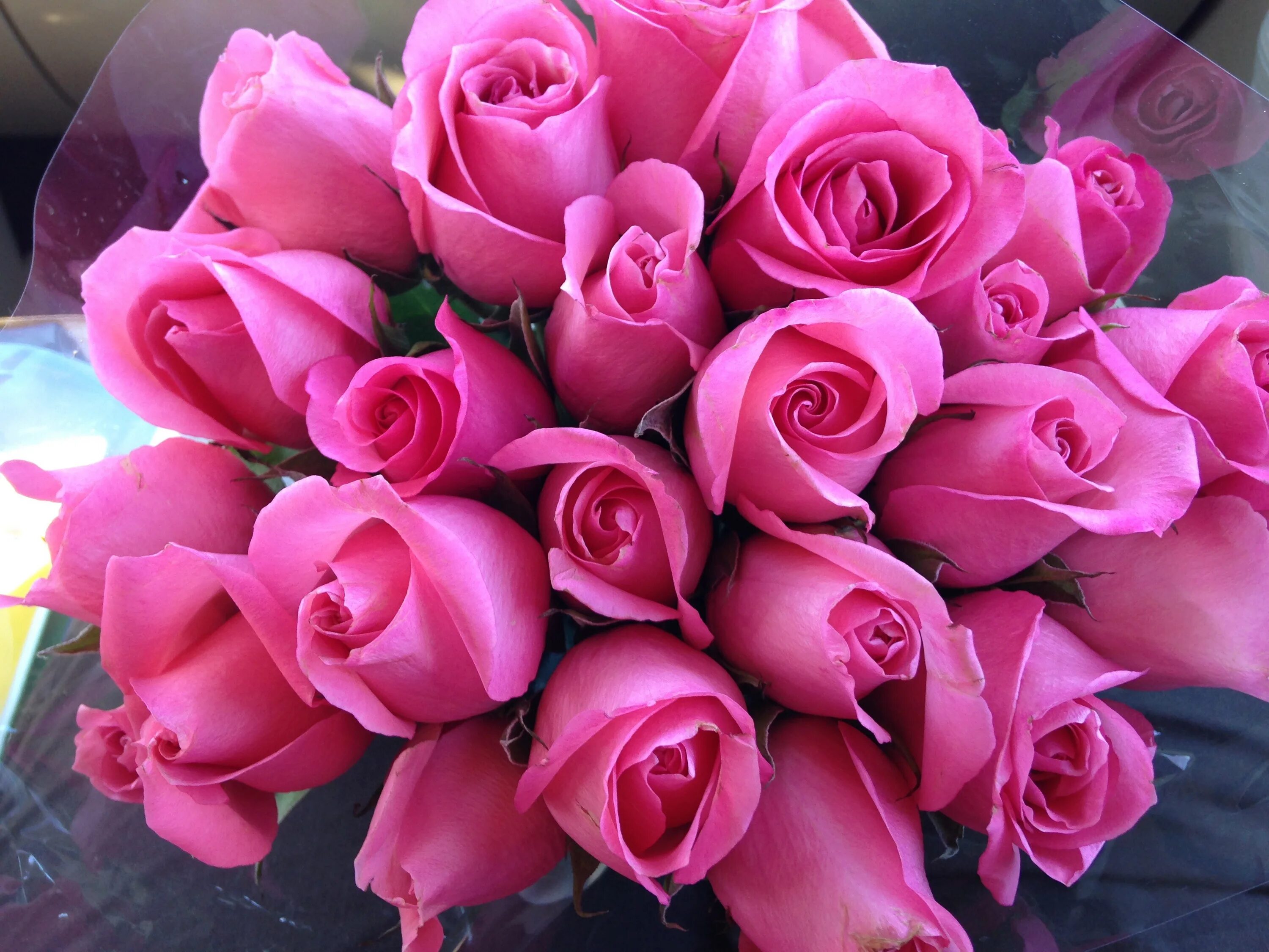 Красивый букет цветов для девушки фото Free Images : petal, love, gift, romantic, pink, valentine, floristry, floribund