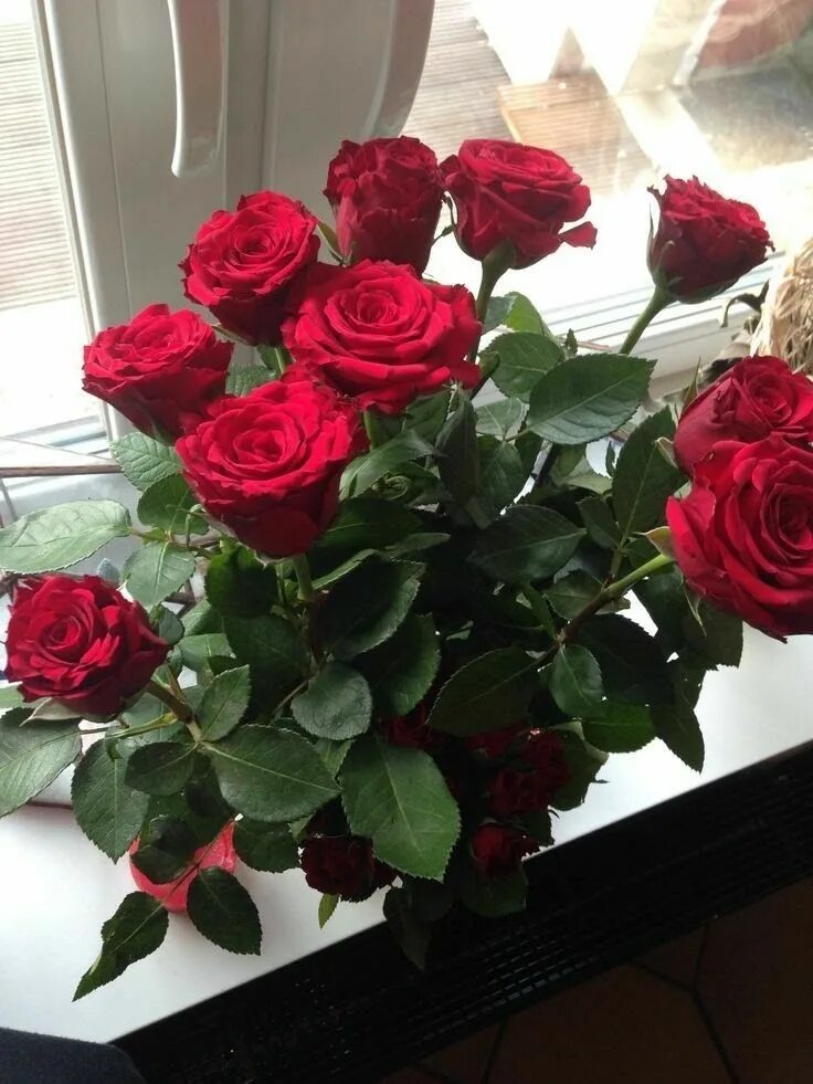 Красивый букет цветов домашние фото Pin by Darlene Hardy on Roses Bunch of red roses, Beautiful rose flowers, Rose f