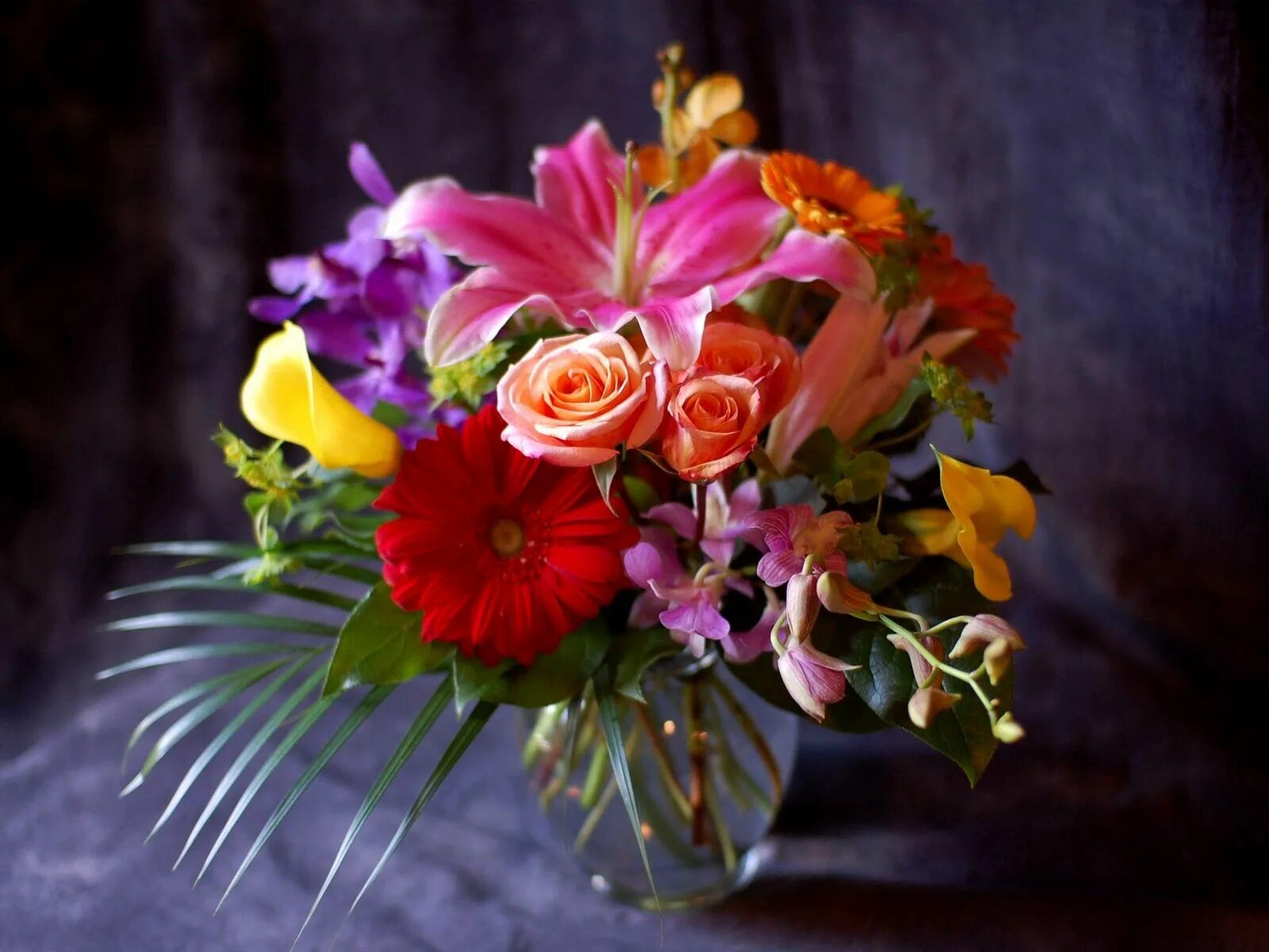 Красивый букет цветов фото в хорошем Download wallpaper 1600x1200 gerbera, rose, lily, calla lilies, orchids, flowers