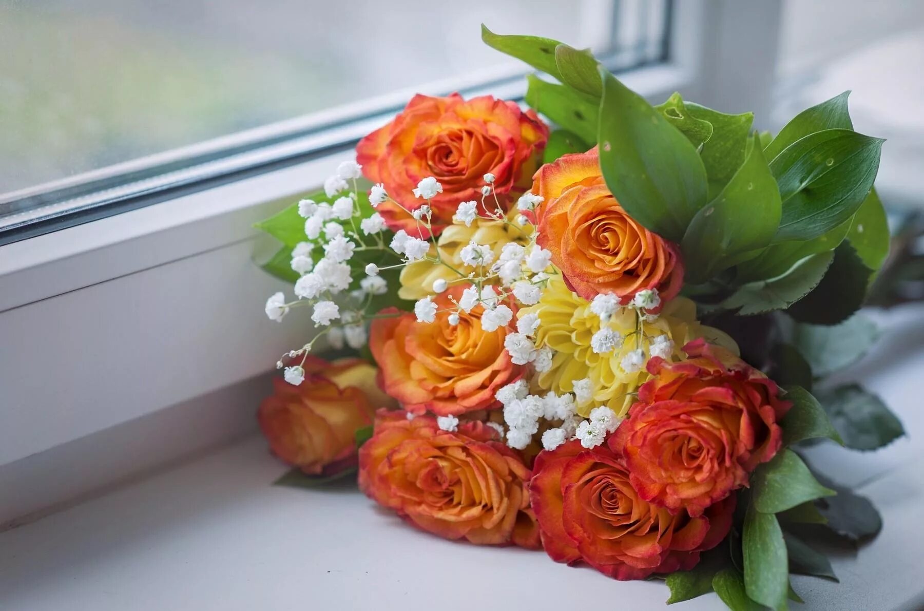 Красивый букет цветов на столе фото Wallpaper : roses, babys breath, bouquet, windowsill, window 1800x1190 - wallup 