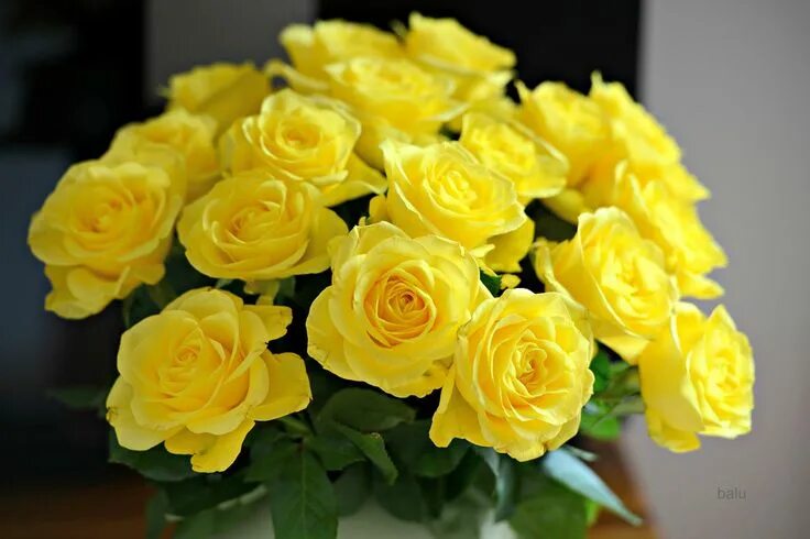 Красивый букет желтых роз фото a bunch of yellow roses Rose flower arrangements, Yellow roses, Yellow rose flow