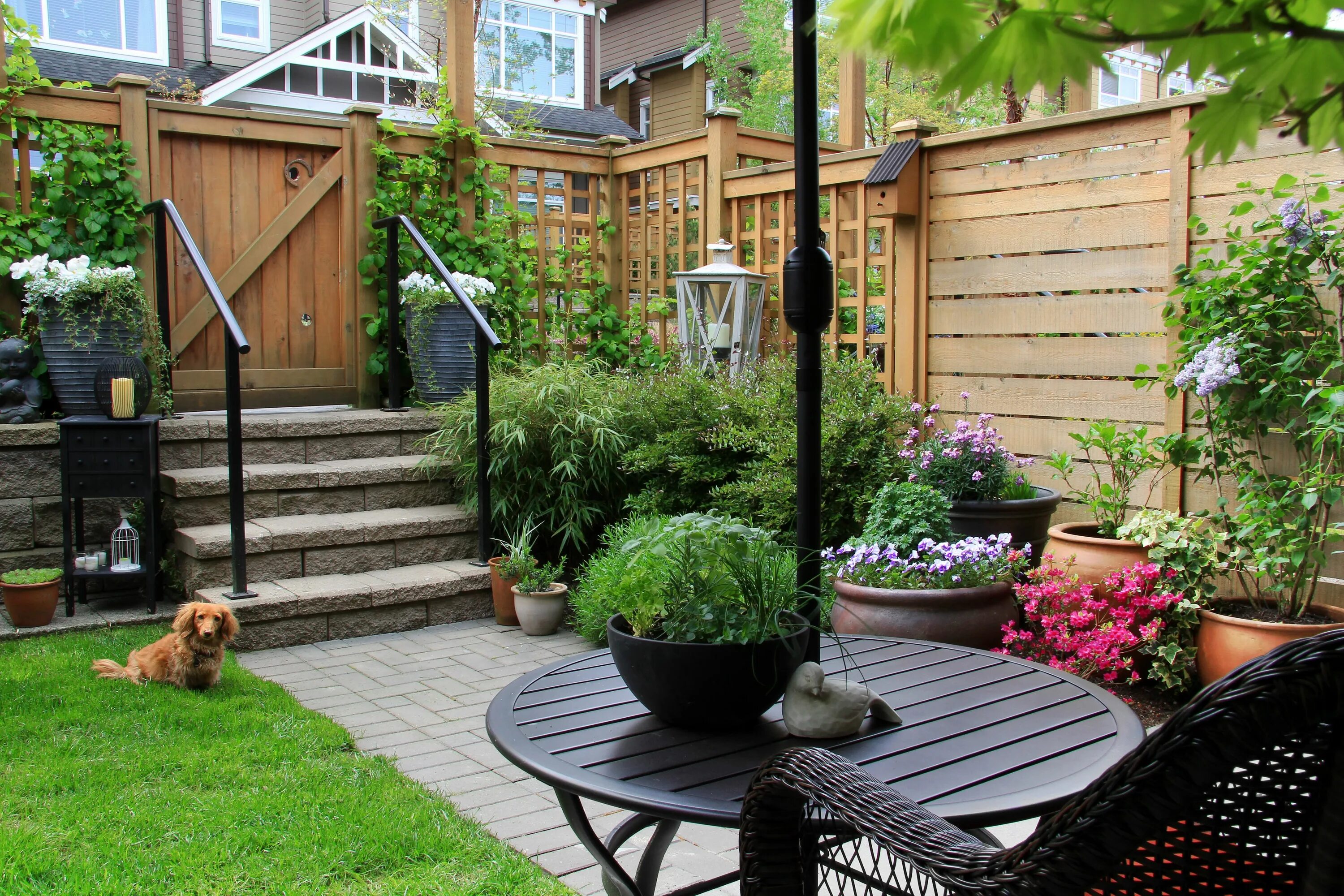 Красивый частный двор своими руками фото LANDSCAPING AND GARDENING SERVICES IN LONDON Mosquito plants, Mosquito repelling