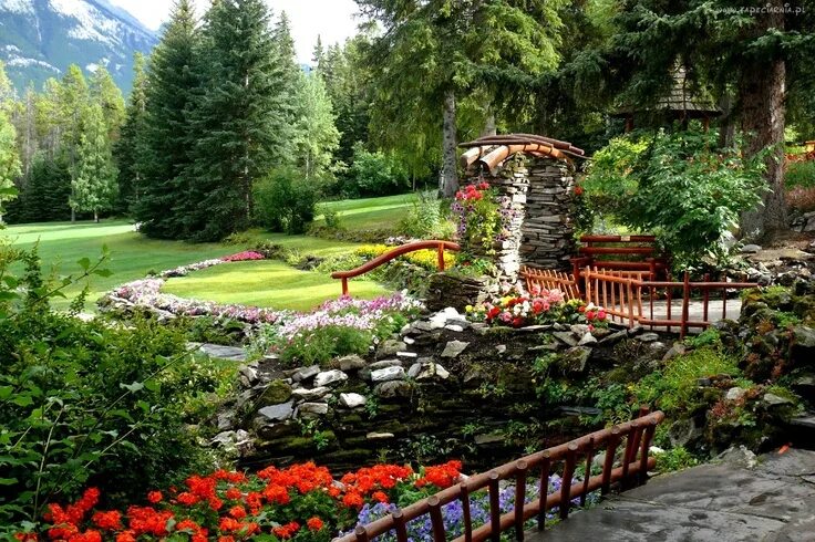 Красивый декоративный сад фото Pin su gardens