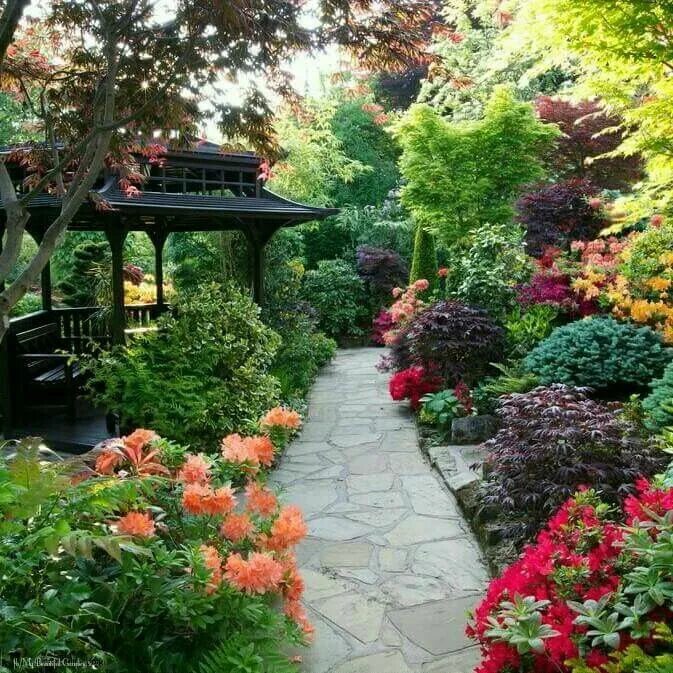 Красивый декоративный сад фото Pin by Jinny Witkamp on Garden Dream garden backyards, Beautiful gardens, Dream 