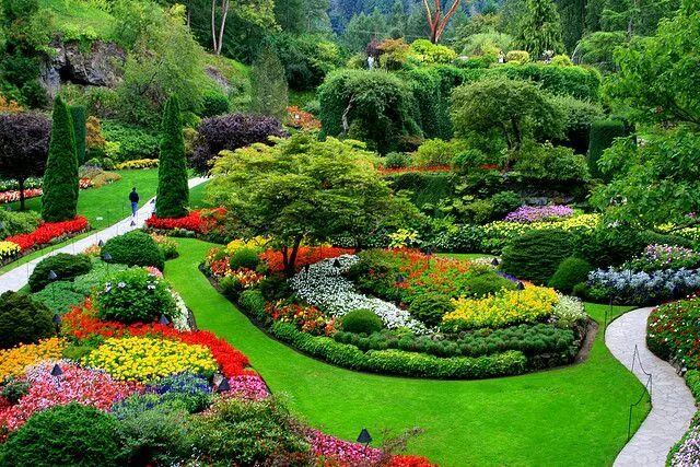 Красивый декоративный сад фото Sunken Garden Butchart gardens, Buchart gardens, Amazing gardens