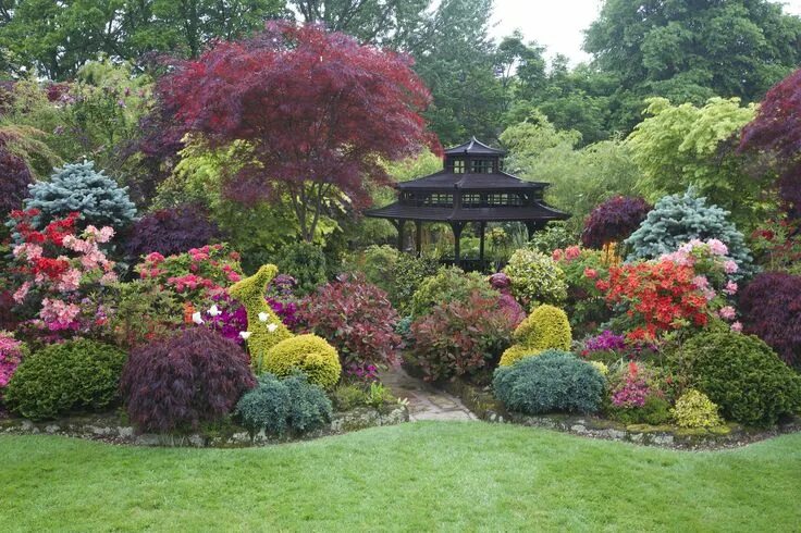 Красивый декоративный сад фото Pagoda and colours of late spring Conifers garden, Beautiful flowers garden, Bea
