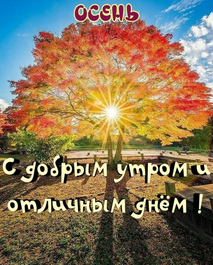 Красивый день фото картинки Пин от пользователя Inna Kovalkova на доске Good morning Пейзажи, Счастливые кар