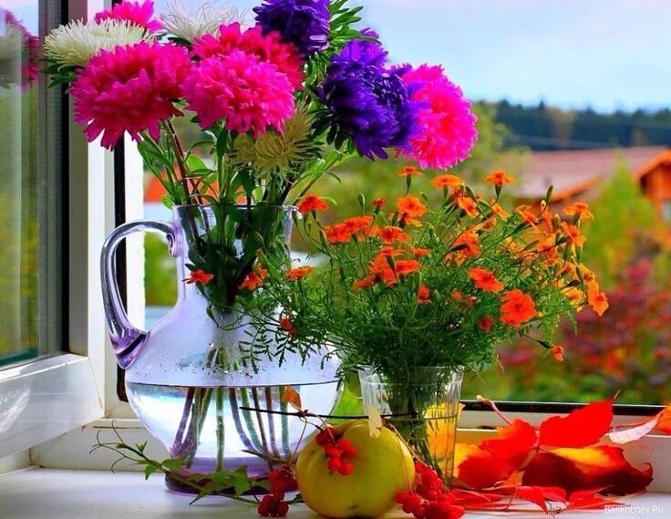 Красивый день фото картинки Вдохновение Дворик для души Good morning images flowers, Good morning flowers gi