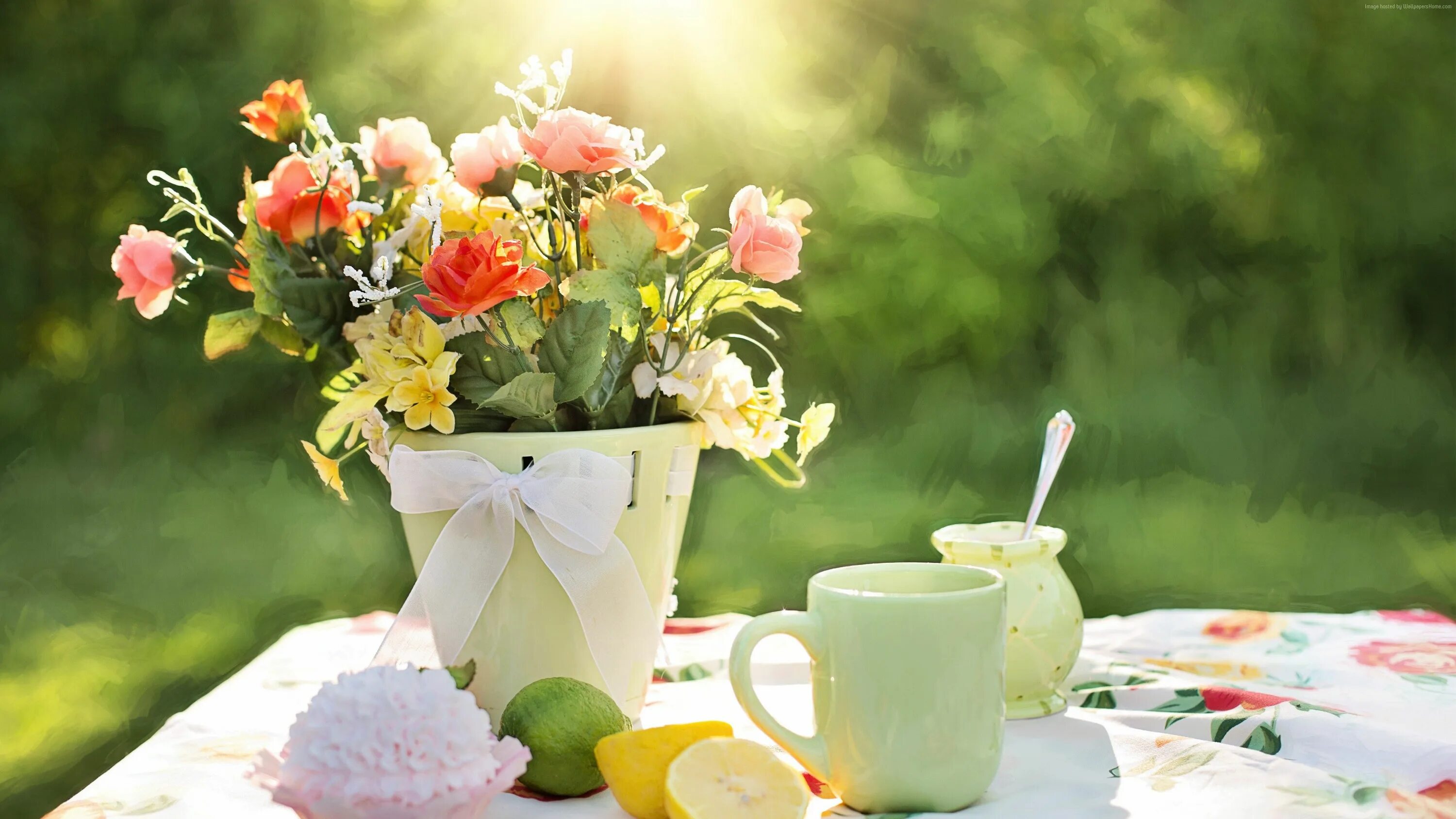Красивый день фото картинки Spring Flowers Pictures wallpapers (122 Wallpapers) - HD Wallpapers Table, Summe