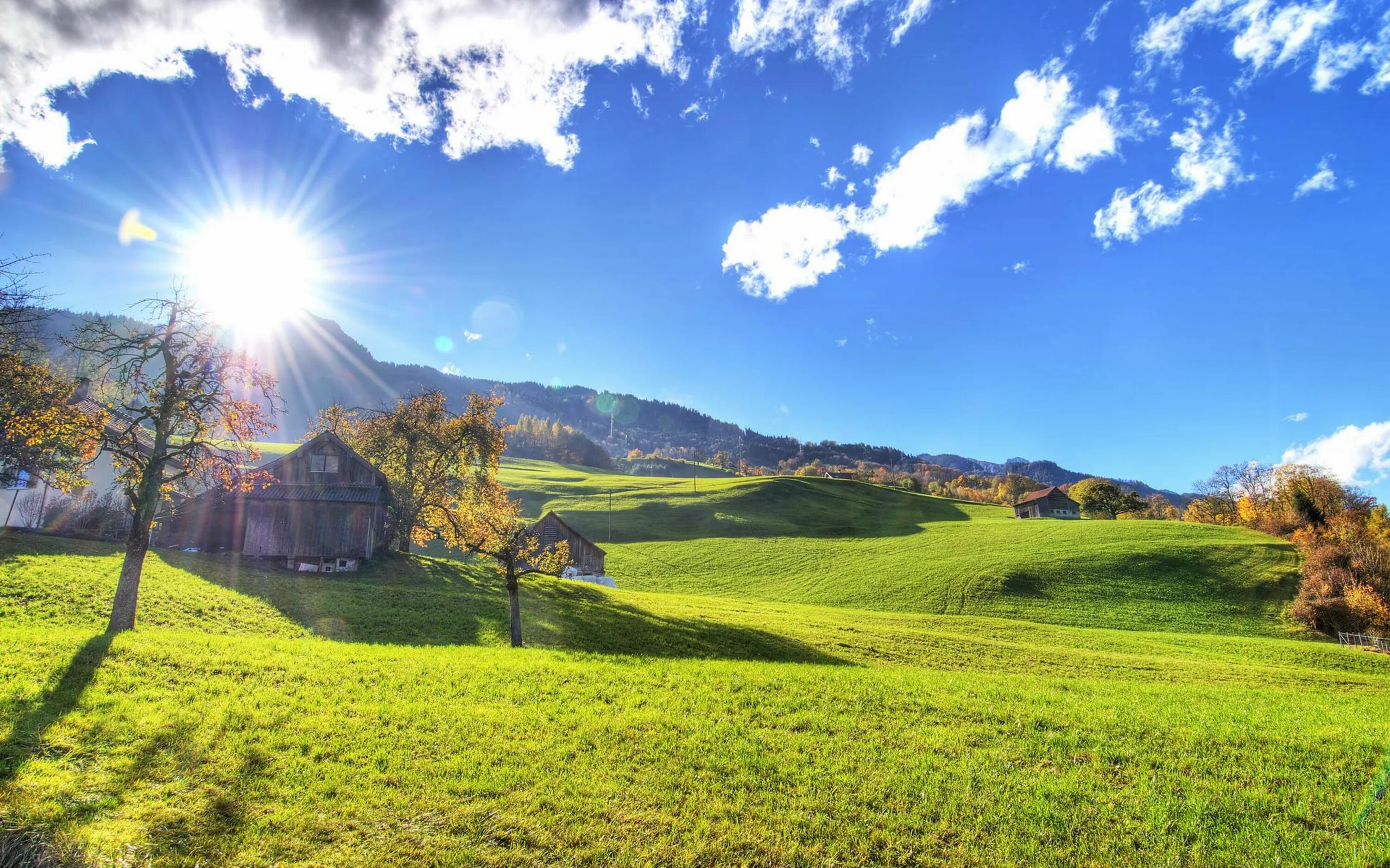 Красивый день фото картинки beautiful summer day - Google Search Sunrise photos, Background hd wallpaper, Su