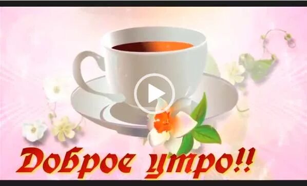 Красивый фото на ватсап с добрым утром С добрым утром видео для ватсап лучшие