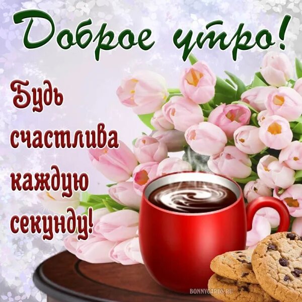 Красивый фото на ватсап с добрым утром ОТКРЫТКИ on Viber