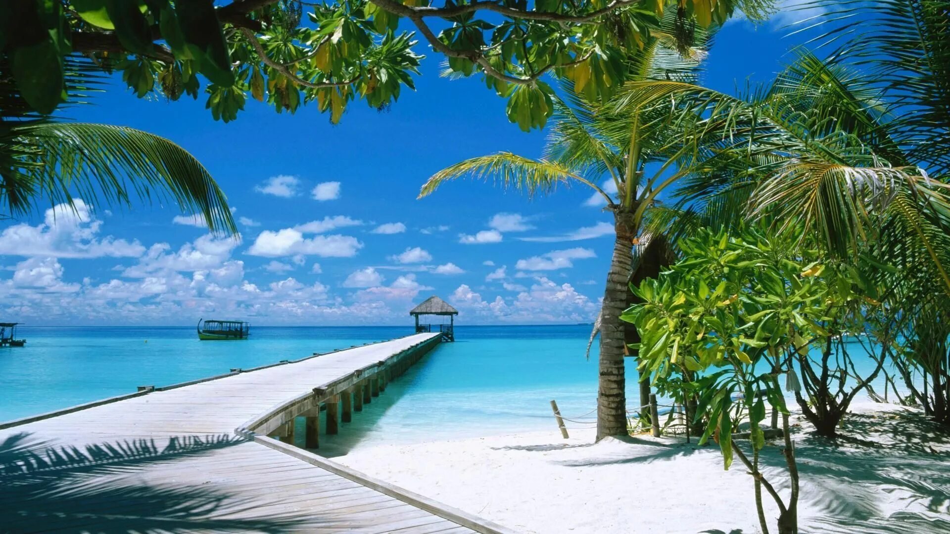 Красивый город красивым морем фото Maldives Wallpapers HD Free Download Maldivas, Goa, Fotos