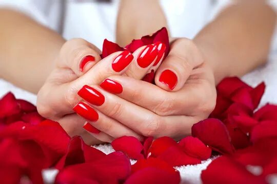 Красивый качественный маникюр "Manicured Nails" Зображення - огляд 5,261 Стокові фото, векторні зображення й в