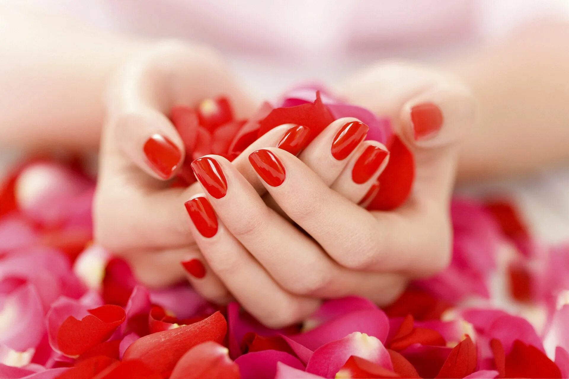 Красивый качественный маникюр MANICURE Sns nails colors, Manicure, Red nails