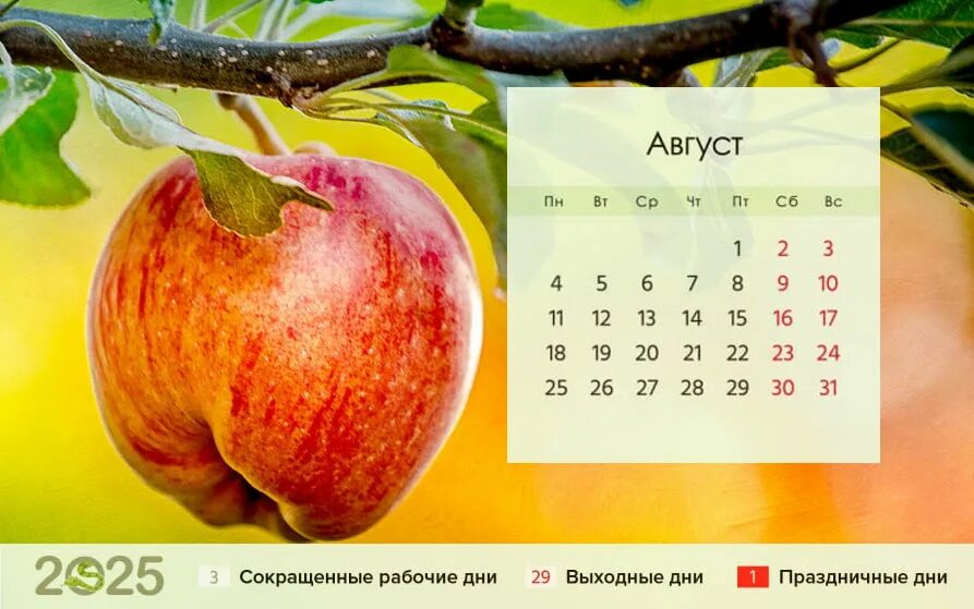 Красивый календарь 2025 с праздниками и выходными Календарь на 2025г настенный