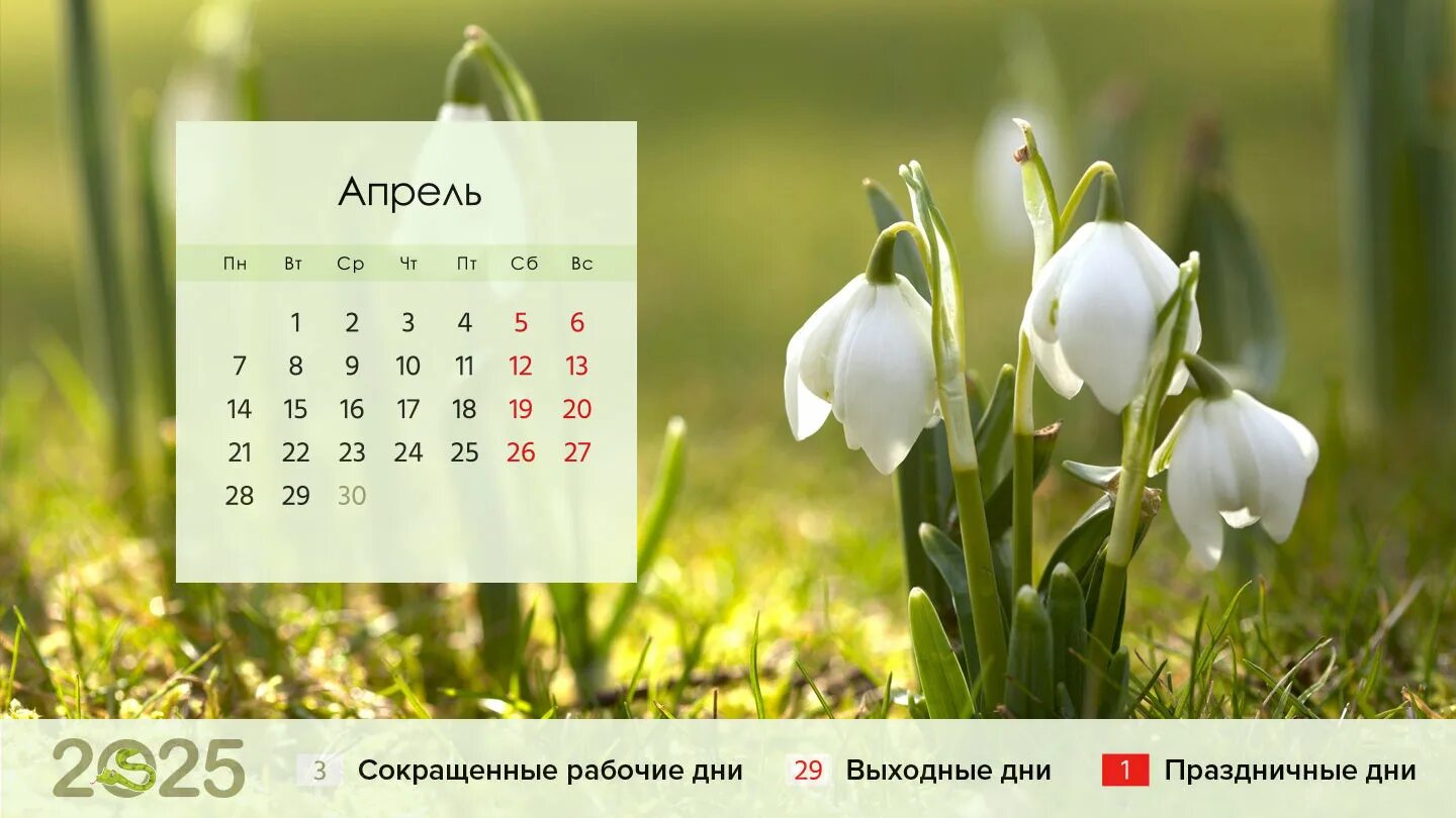 Красивый календарь 2025г с праздниками и выходными Календарь шестидневка 2025