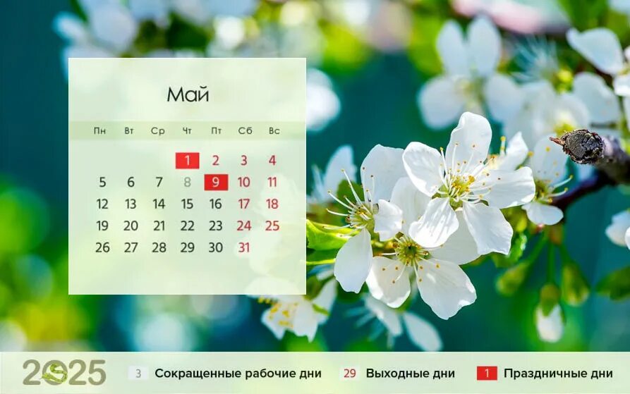 Красивый календарь 2025г с праздниками и выходными Производственный календарь 2025 выходные