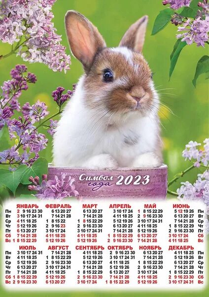 Красивый календарь на год Магнит календарь гибкий символ 2023 года. Формат А4. Арт.2320 Арт.2320 - купить 