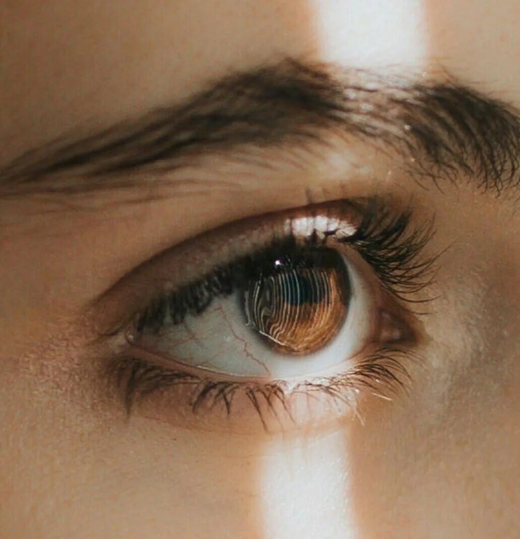 Красивый карий глаз фото Brown eye Aesthetic eyes, Pretty eyes, Eye photography