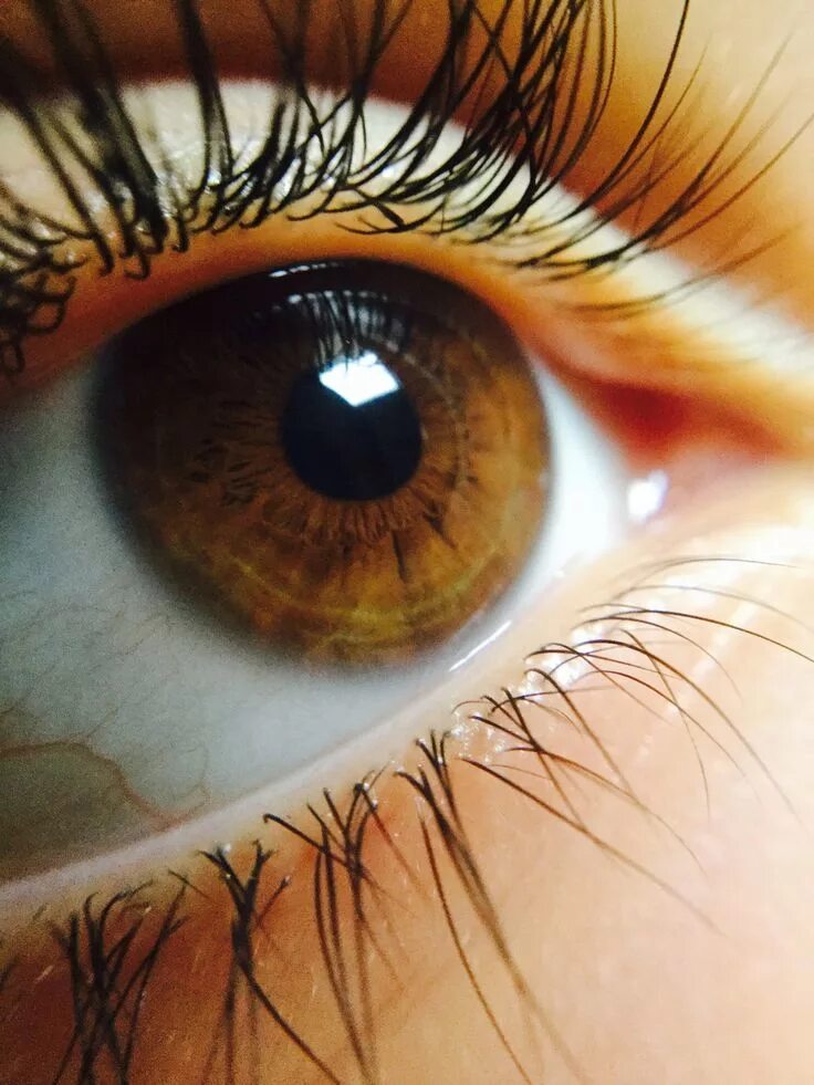 Красивый карий глаз фото Pin on NATURE : EYE / IRIS / PUPIL / MACRO EYE PHOTOGRAPHY / CENTRAL HETEROCHROM