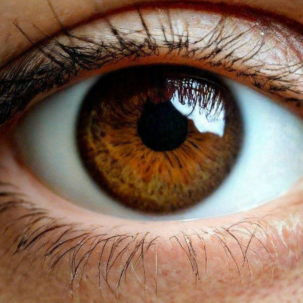 Красивый карий глаз фото "The most beautiful brown eyes" - image created in Shedevrum