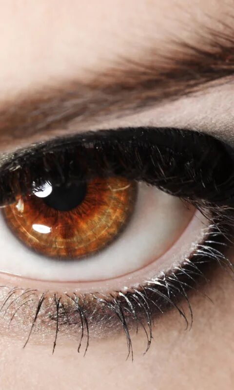 Красивый карий глаз фото Download wallpaper look, macro, eyes, eyelashes, section macro in resolution 480