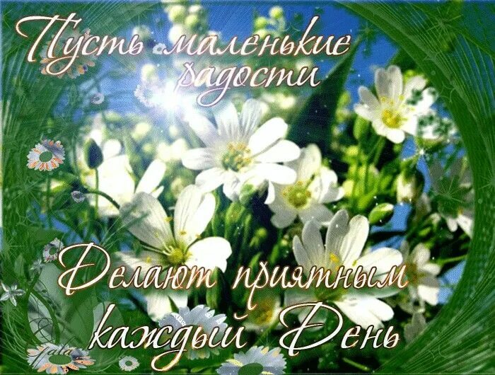 Красивый картинки с хорошей пожелание Пин от пользователя Olga Ivashikina на доске хорошего дня Летние цветы, Картинки