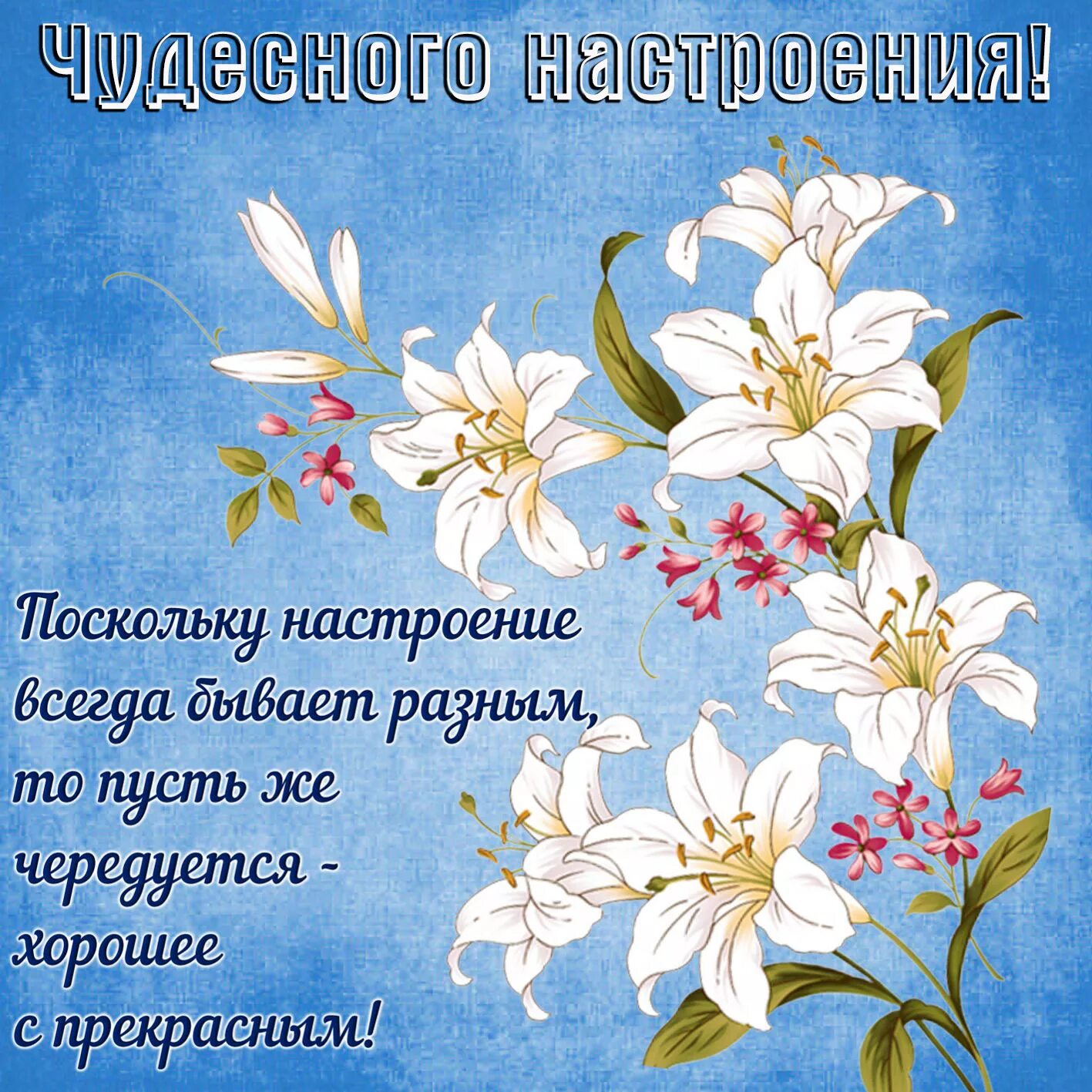 Красивый картинки с хорошей пожелание Открытка хорошего настроения - красивые цветы на голубом фоне