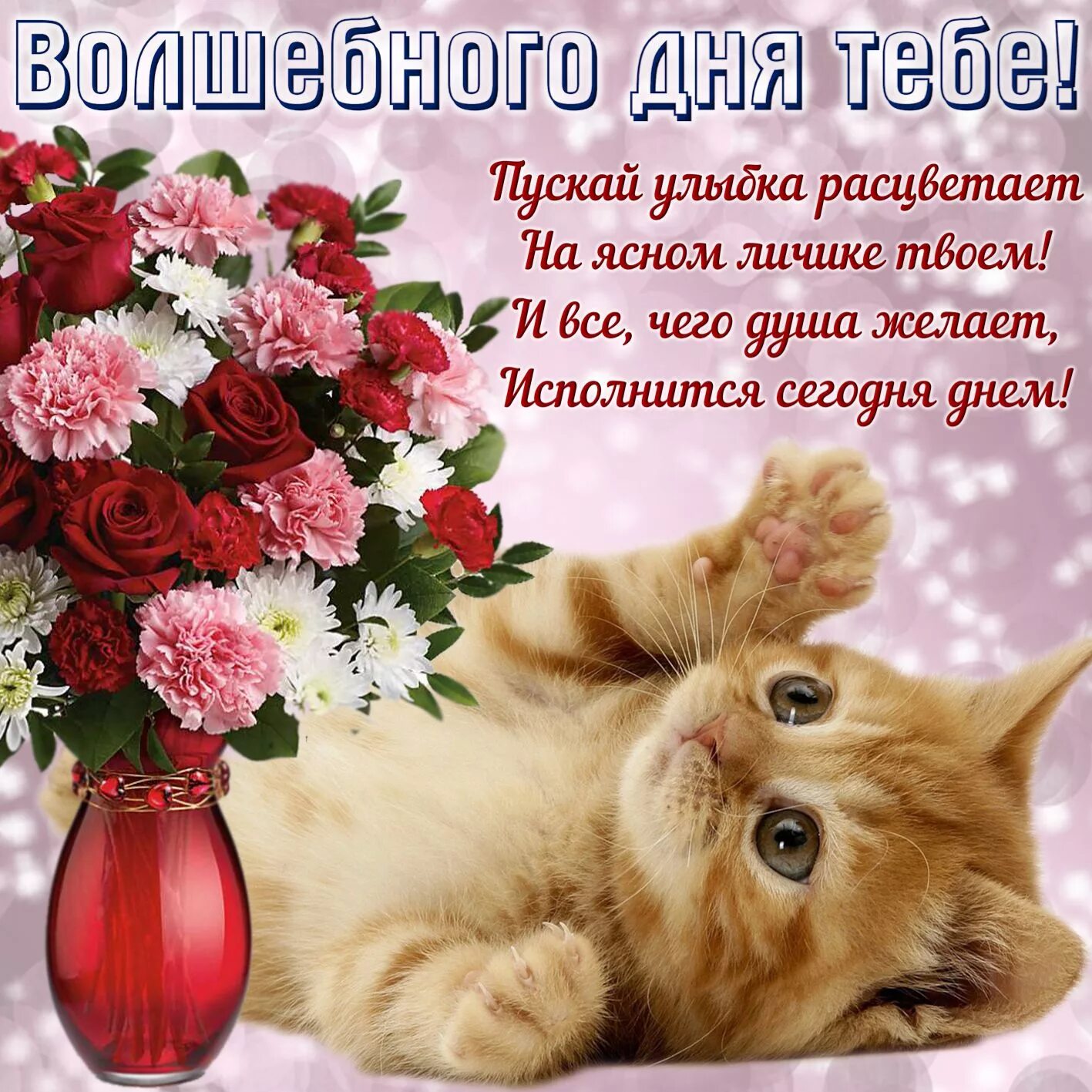 Красивый картинки с хорошей пожелание Открытка - котенок желает волшебного дня