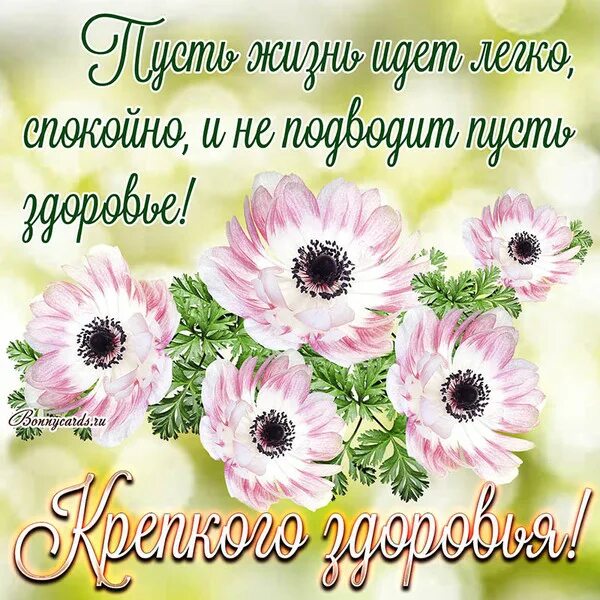 Красивый картинки с хорошей пожелание С добрым утром, дорогие друзья!!! - МИР, В КОТОРОМ МЫ ЖИВЁМ!, пользователь Лилия