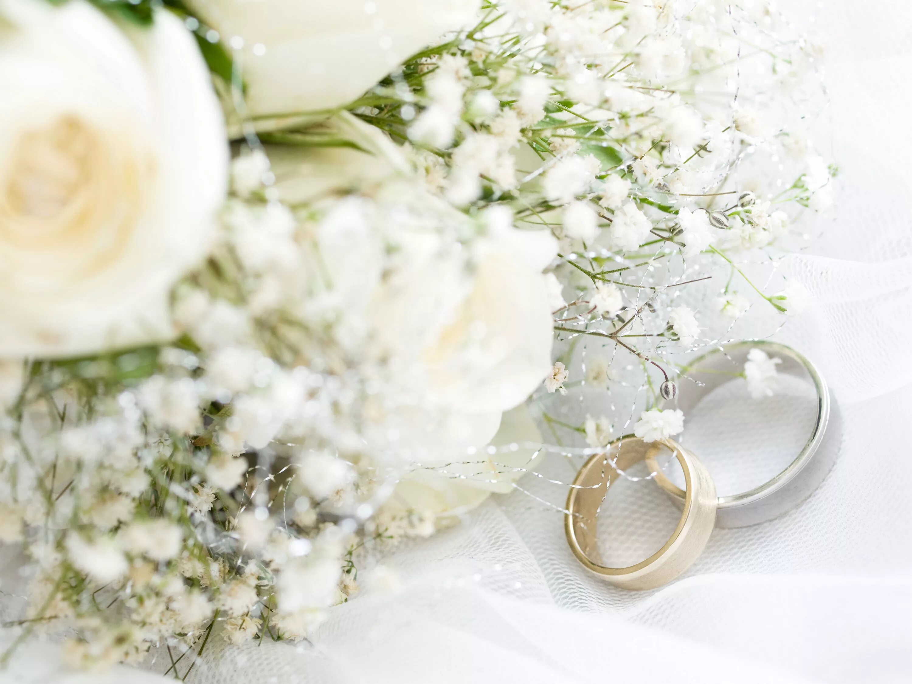 Красивый картинки свадьба 14 White Roses Wedding Background Gallery Yopriceville - High-Quality Images and Tr